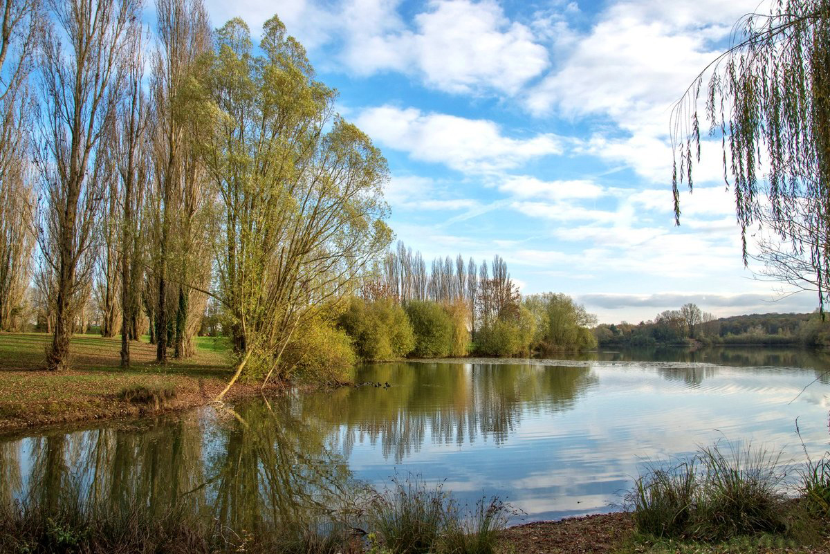 lac